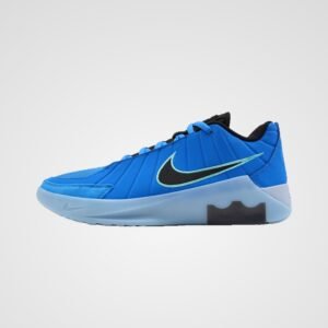 Nike Lebron Witness IX