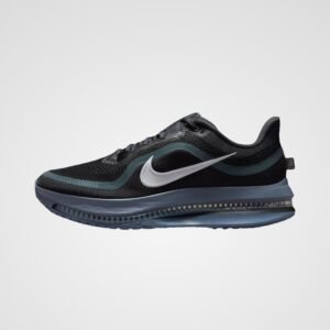 Nike Pegasus Premium